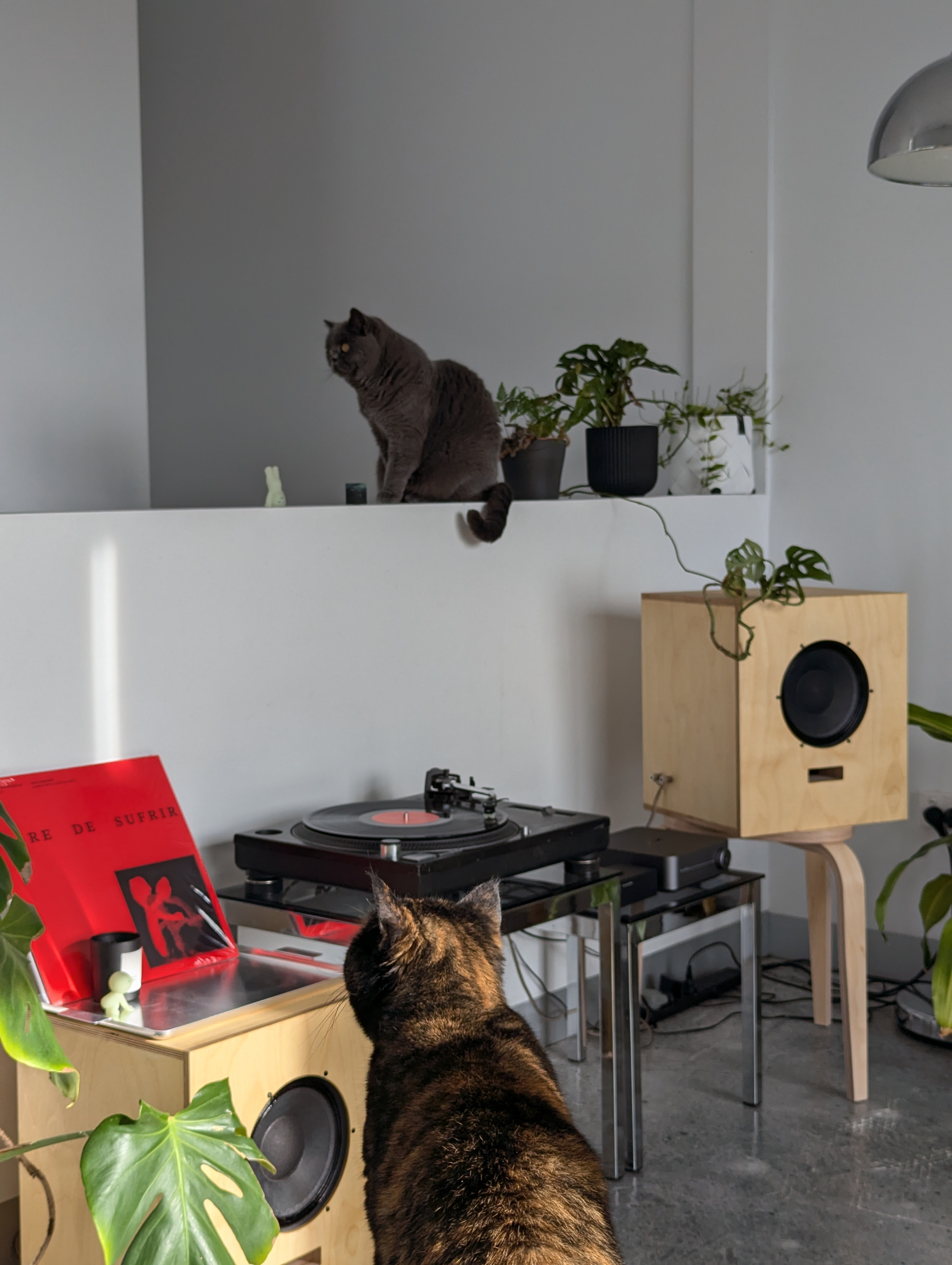 Initial HiFi Setup